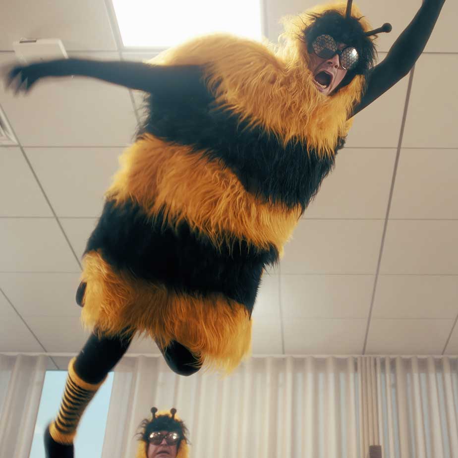 jumping-bee-flex
